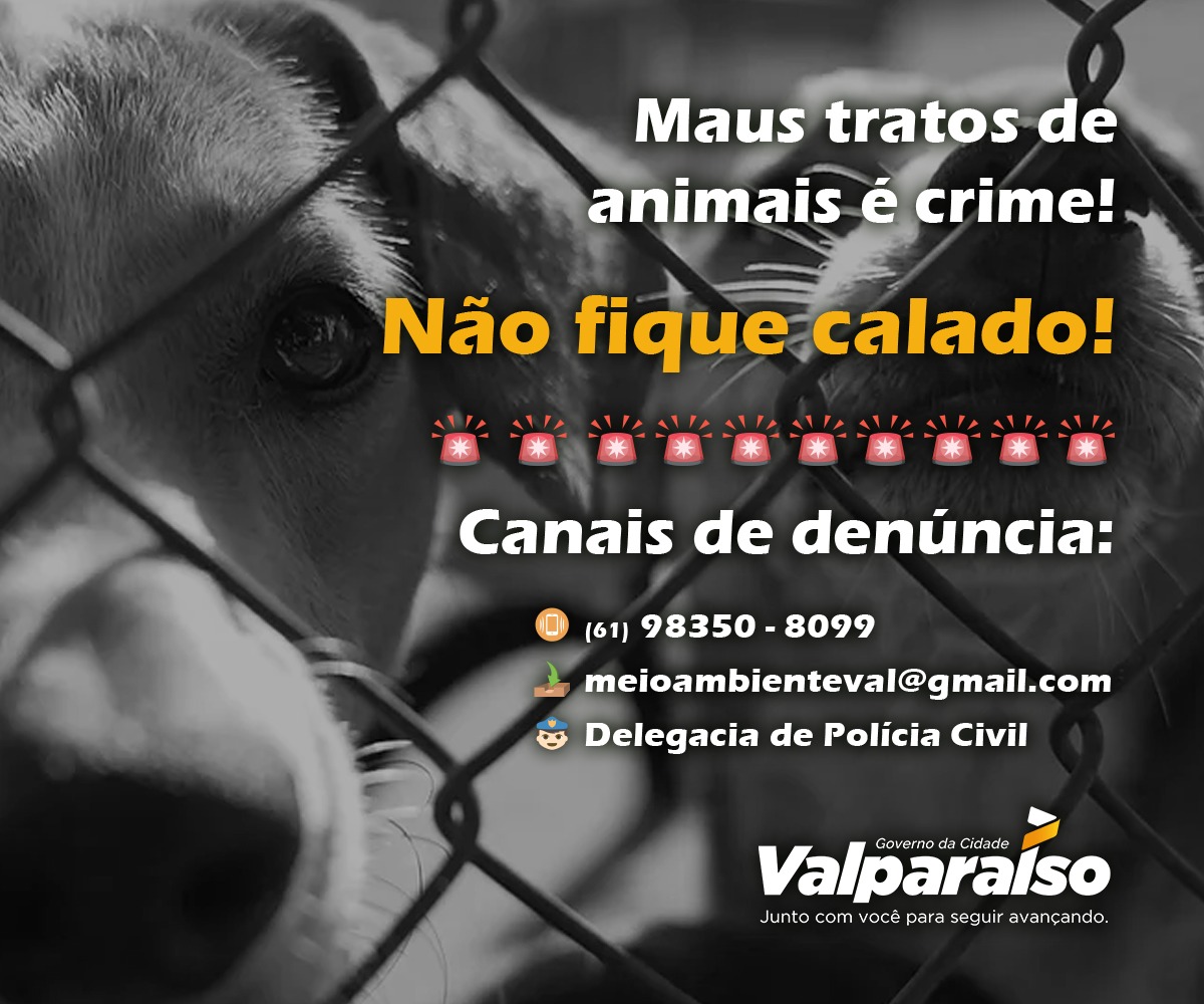 Meio Ambiente Alerta Sobre Maus Tratos E Abandono De Animais