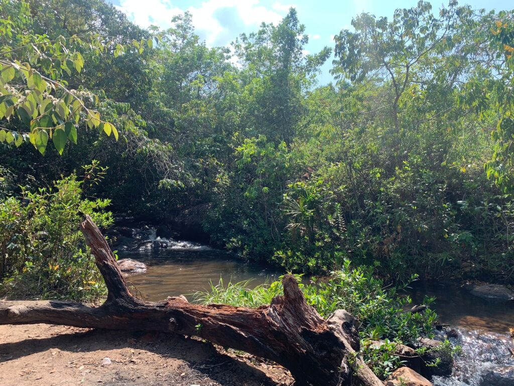 Trilha ecológica - Meio Ambiente nas Escolas